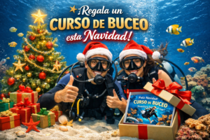 Regala aventura, regala el mar: aprende a bucear en CDMX